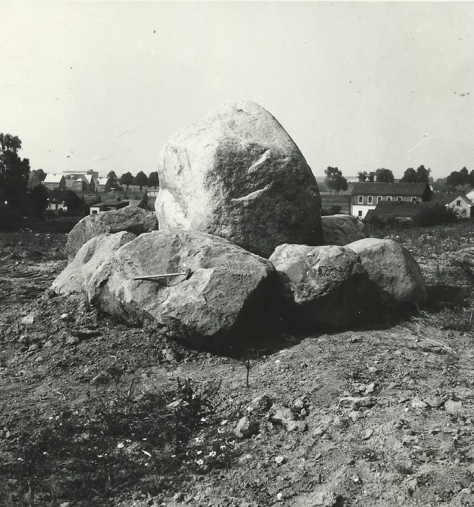 Skupina bludných balvanů v Rovninách, červenec 1963 (uprostřed největší hlučínské eratikum)