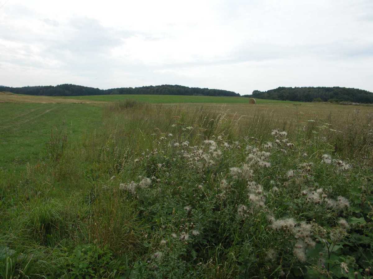 6 Oblíková krajina jak je vidět od Velké Kraše a Kobylé nad Vidnavkou, foto Aleš Uhlíř.