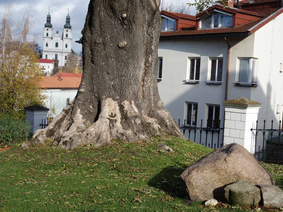 23 V zámeckém parku