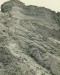 Písčitý půdotok. Pískovna v Brumovicích. Foto V. Kroutilík 30.6.1959.